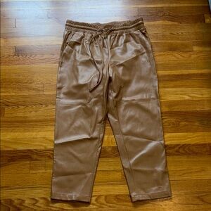 Loft Faux leather pants